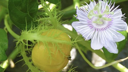 Ảnh chụp Màn hình 2022-06-26 lúc 13.46.08.jpg