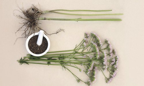 Ảnh chụp Màn hình 2022-06-26 lúc 13.46.38.jpg